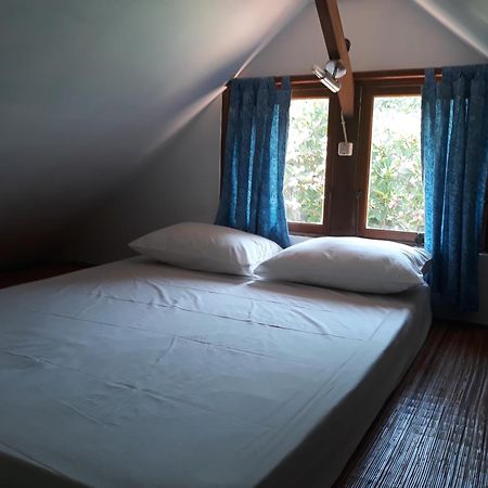Hotel Le Jardin Amed Zimmer foto
